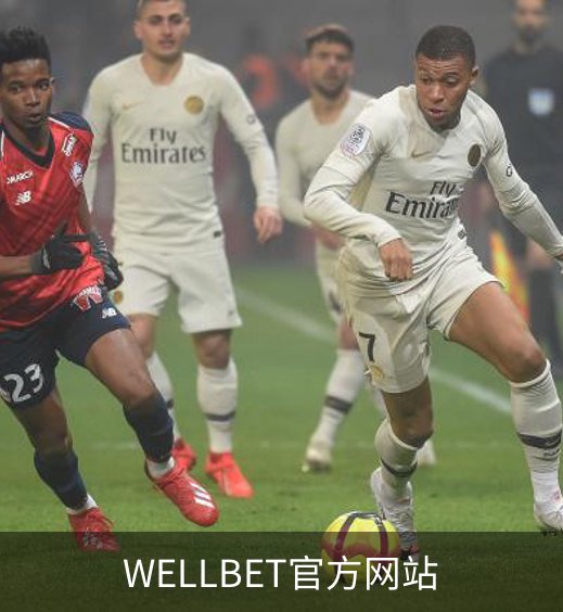 关于WELLBET官方网站